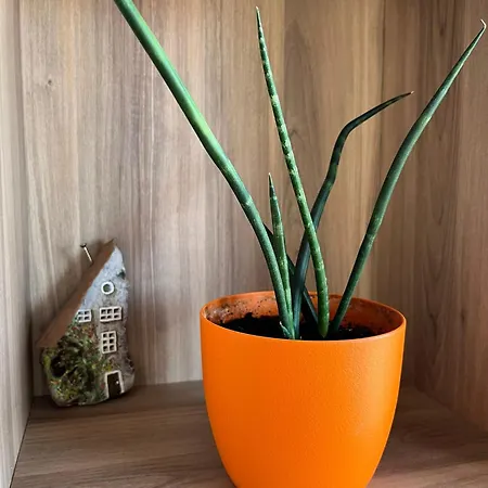 Apartamento El Mirador Del Centro *