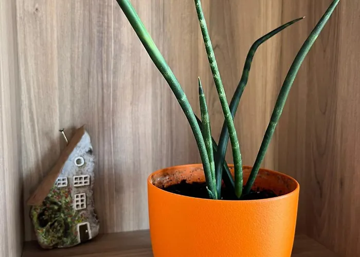 Apartman El Mirador Del Centro *